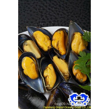 seafood frozen blue mussel meat with half shell